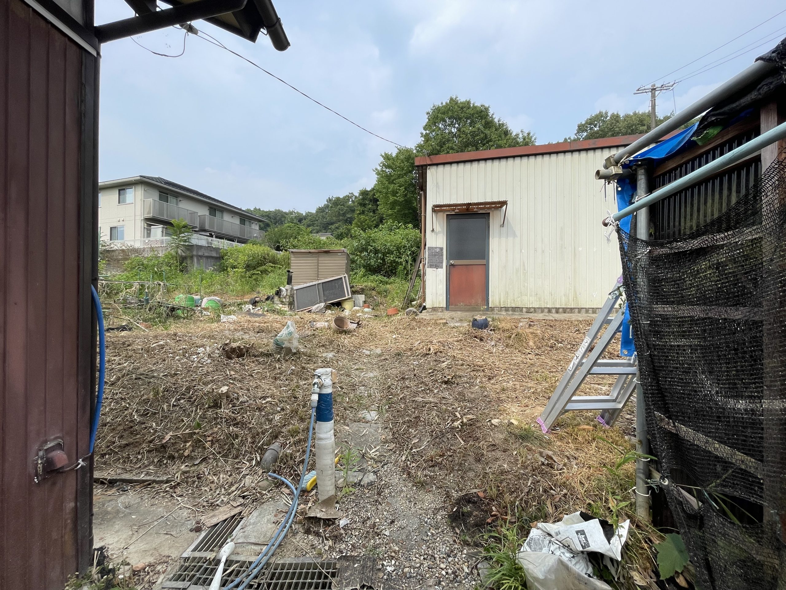 50代・近隣から苦情が出やすい空き家の草刈りと植栽の剪定でスッキリ【造園工事】